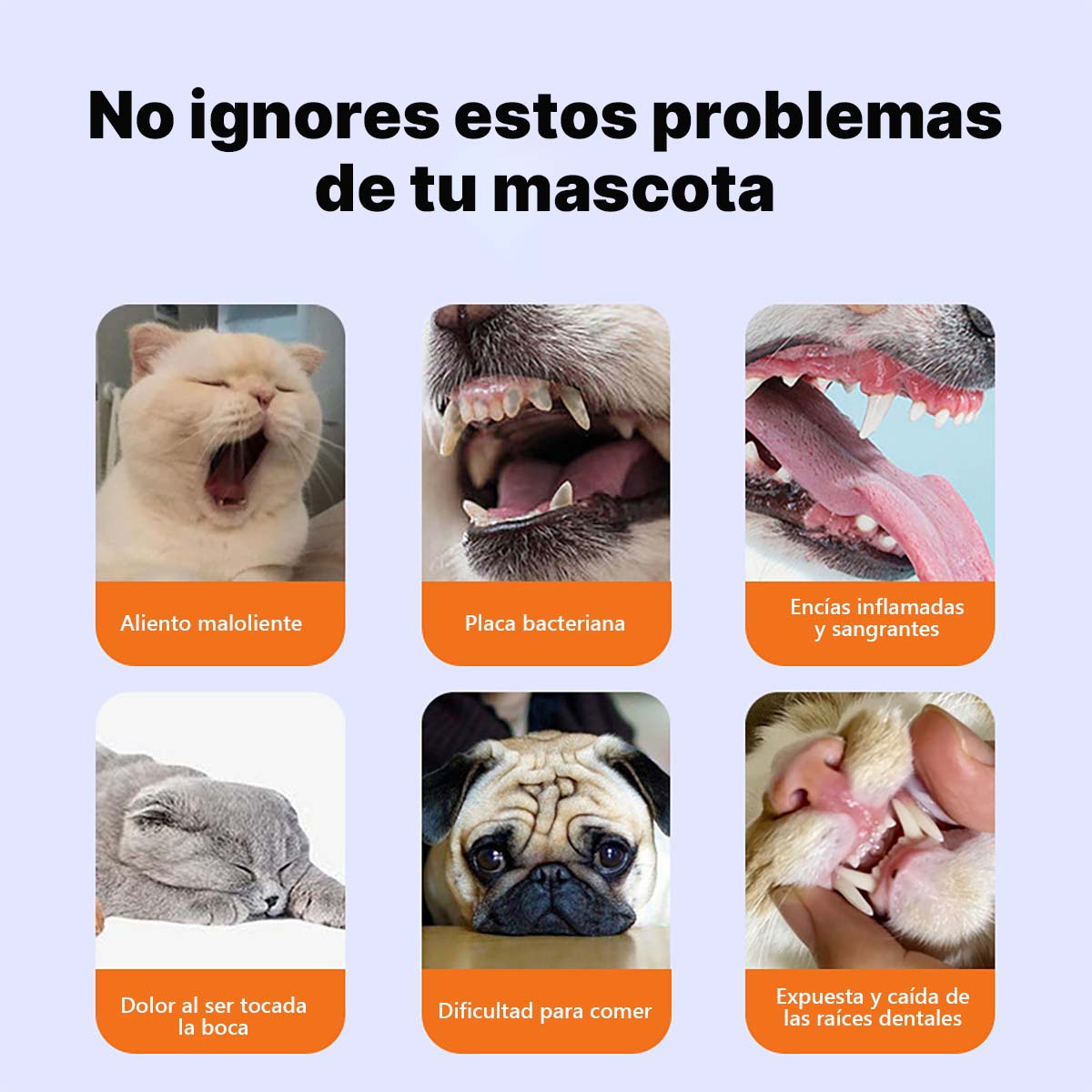 Lápiz limpiador dental para mascotas con sabor a leche · Lápiz de limpieza dental · Gel blanqueador dental para mascotas