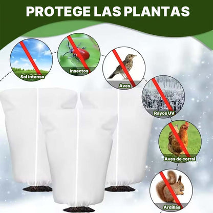 "Cubierta de protección contra el frío para plantas de color marrón, funda de no tejido para invierno, protección contra el polvo y el frío, ideal para jardinería y protección contra las heladas."