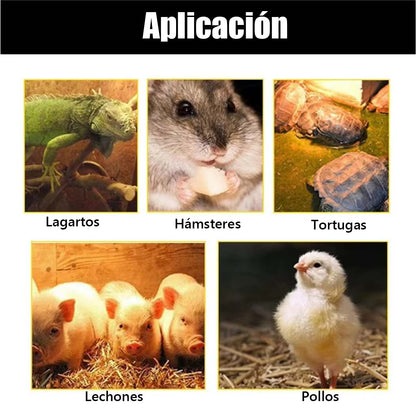 "Lámpara de calefacción para aves, ideal para mascotas, incubadoras, reptiles y ganadería. Proporciona calor y calefacción con aire caliente para mantener el ambiente cálido."