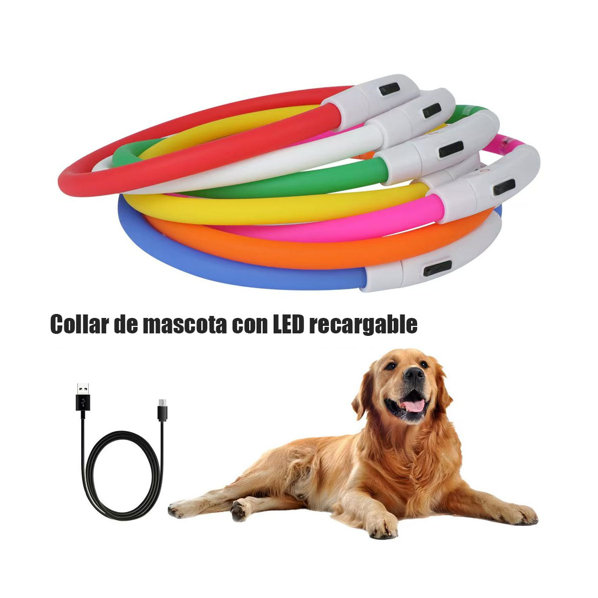 Correa LED para Perros, Collar Luminoso con Fibra Óptica y Carga USB
